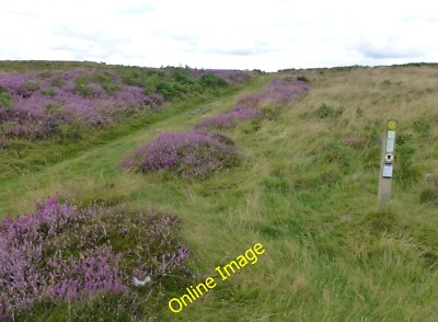 Photo 6x4 St Oswald's Way Rothbury Bypassing the Fort at Lordenshaw on it c2014