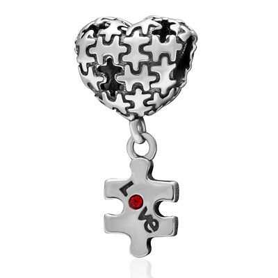 Entsperren Sie das Geheimnis des Autismus mit dem Sterling Silber Puzzle Charm/Anhänger