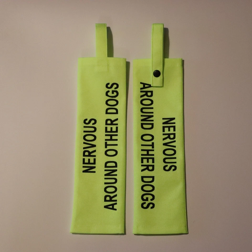 Funda de plomo para perros - Accesorio de seguridad impermeable de alta visibilidad para entrenamiento y paseos Foto 2 de 4