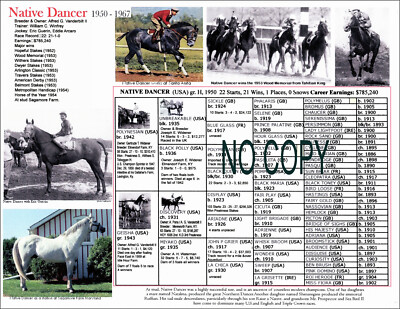 Breyer Grey Race Horse Racing NATIVE DANCER picture pedigree 11 X 8.5