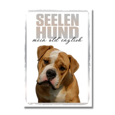 Old English Bulldog Seelenhund Dog Schild Spruch Türschild Hundeschild Warnschil