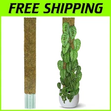 Modern 59-Inch Flat Moss Pole: Perfect Support for Monstera & Climbing Plants