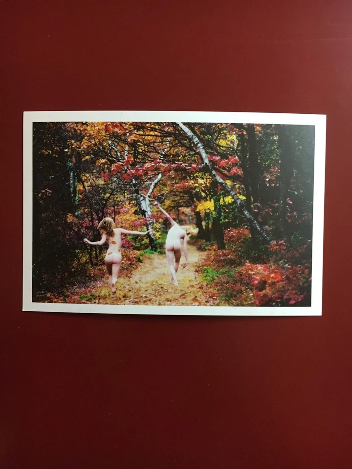 4 tarjetas postales raras de RYAN McGINLEY OTOÑO/INVIERNO tarjeta impresa sol y salud leche de luna Foto 3 de 4