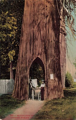 EVERETT WASHINGTON~MAN & WOMAN ON BICYCLE PATH THROUGH TREE~1910s POSTCARD