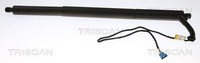 Triscan 8710 11306 Gasfeder, Koffer-/Laderaum FüR Bmw