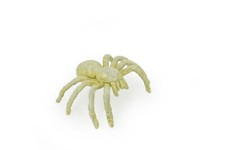 Spider, Cave, Plastic Toy, Kids, Realistic Figure, Model, Gift, 2" F770 B625