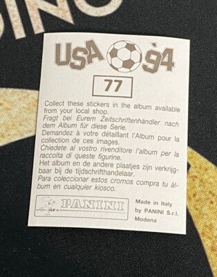 1994 Panini World Cup USA 94 Brazil Brasil Silver Shiny Brown #77