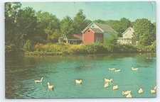 Postcard Wading River Village Pond & Post Office Long Island New York
