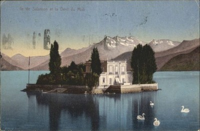 Dents du Midi Schwan