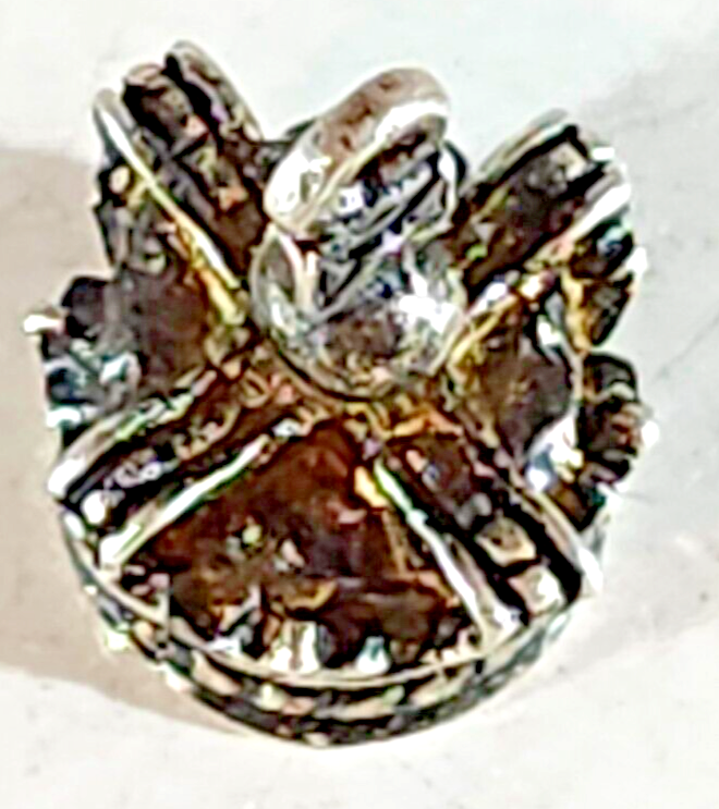 Foto 2 di 3