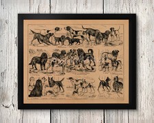 POSTER PRINT Dog Breeds Vintage Style Shepards Dachshunds Mastiffs Bulldog Gift