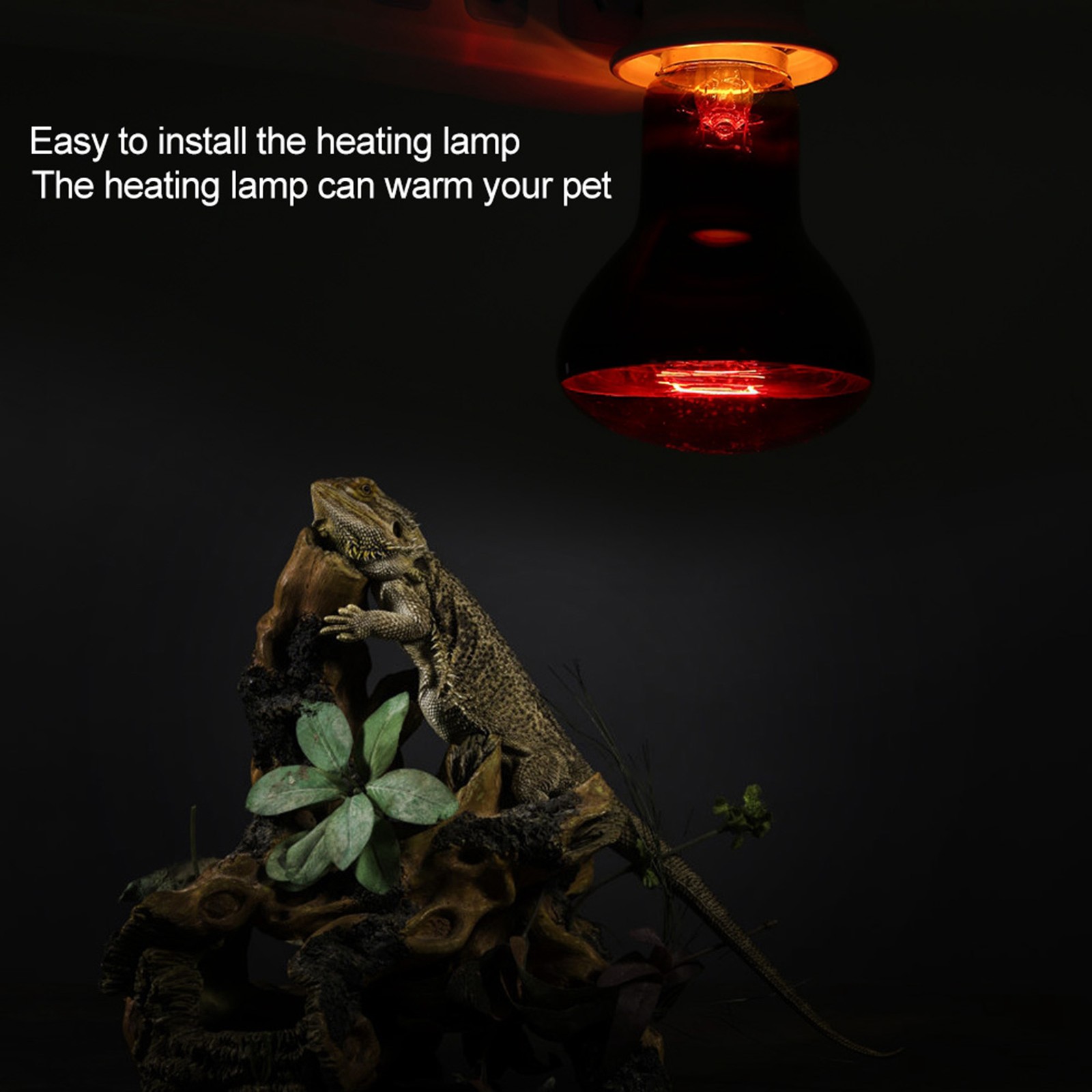 Durable Infrared Heating Warming Lamp Light Bulb For Reptile Pet Supply(75W) KRI