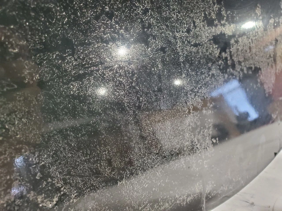 二手前左门玻璃前部适合:2008 年丰田塔科马标准驾驶室前左侧 — 第 2/4 张图片