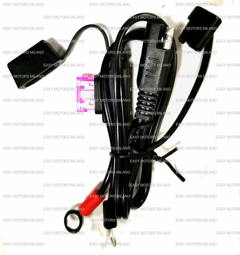 HARLEY-DAVIDSON - Caricatore A Batteria A Doppia Modalità (12 V, 6 V, 1 A), Completamente Automatico - Foto 10