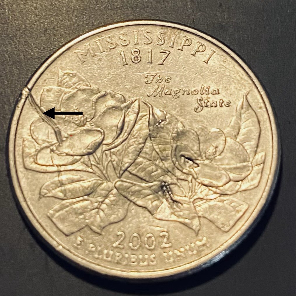 2002-D Mississippi State Quarter Error Coin Reverse Die Break Rim