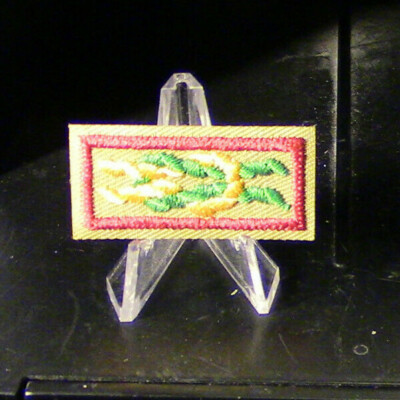 BSA: ''James E. West Fellowship Award'' Knot