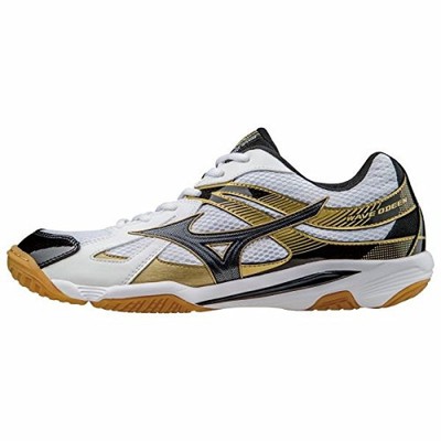 harga mizuno wave odeen
