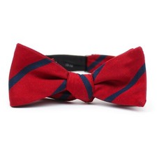 Vintage Red/Navy Diagonal Stripe Repp Silk Butterfly Self-Tie Bow Tie Adjustable