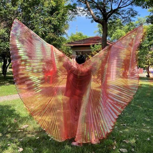 Transparent Belly Dance Wings Stage Performance Dancing Props - Picture 22 of 42
