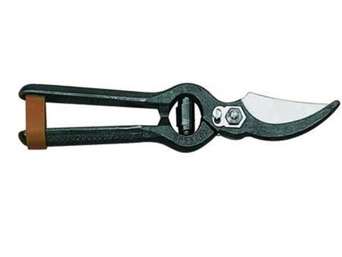 Cesoia Due Buoi 125 S 18cm: Recensione e Vendita Online Forbici Professionali