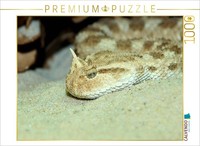 Calvendo Puzzle Dangerous Snakes - Horned Viper | 1000 Pieces, Finished Size 25.