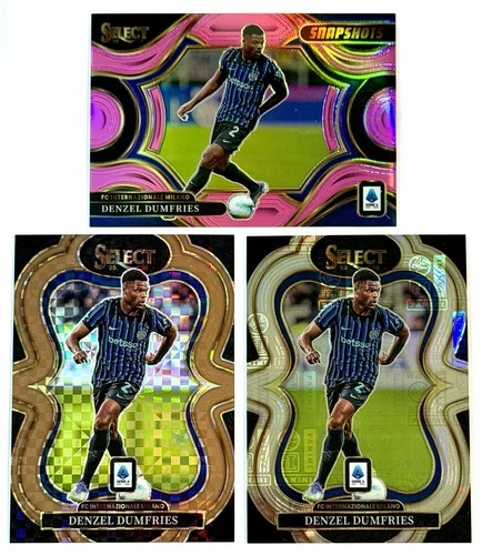 2024 Panini Select Denzel Dumfries RAW