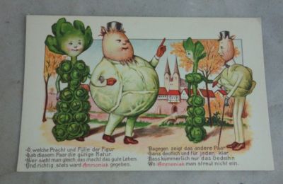 alte Postkarte Reklame Ammoniak Dnger | eBay.de