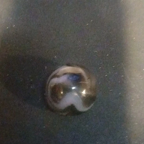 Htf Peltier Black Flame Vintage Marble Mint +++++ - Image 3 of 4