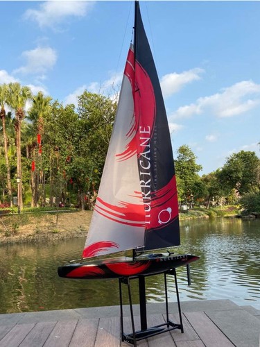 Racent HURRICANE RC Electric ABS Sail Yacht Boat Watercraft V791-2 2.4G RTR NEW