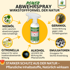 Bild 6 von 9