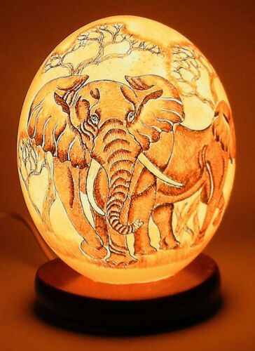 Lampe à autruche éléphant œuf d'autruche gravé peint à la main d'Afrique du Sud #840 - Photo 1/4