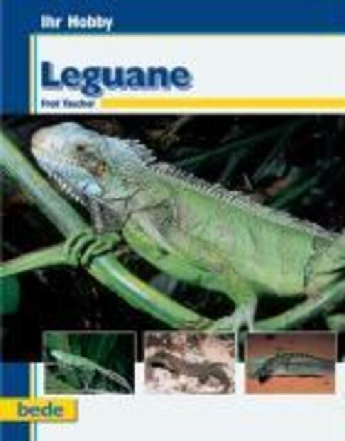 Thumbnail - Ihr Hobby Leguane Fred Taucher Buch 96 S. Deutsch 2009 Bede Verlag
