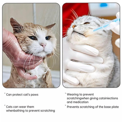 4Pcs Cat Socks Anti-Scratch Anti Skid Protective Friendly Skin to Sof✨y V0Q H1K5 - Picture 11 of 18