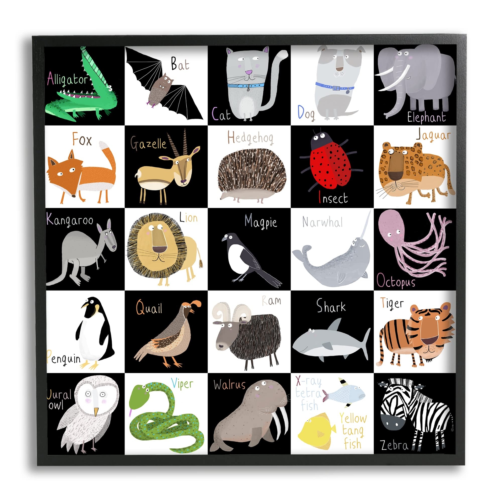 Checkered Educational Animal ABC Framed Wall Art, Design by Carla Daly