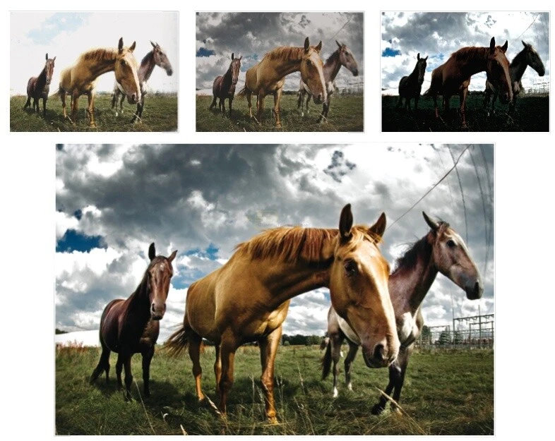 Serif PhotoPlus X3: Digital Studio - DVD-Box für Windows XP/Vista/7 (NEU/OVP) - Bild 4 von 4