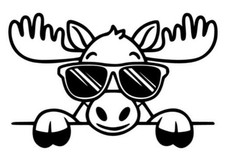 1x ELCH LUSTIG  Aufkleber  17x11cm, Motorrad , Sticker Auto Tuning Racing Comic