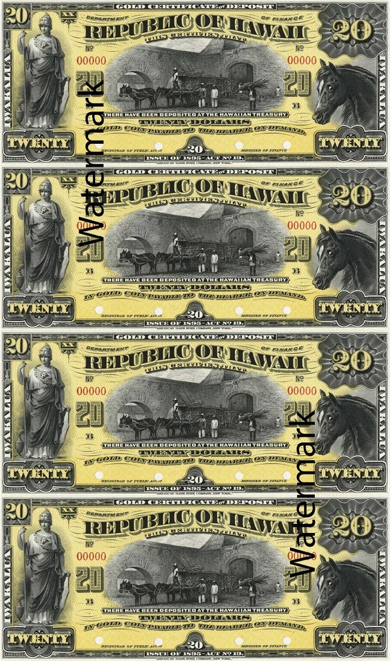 Juego de billetes de oro de las islas hawaianas de Hawái de $5 a $100 hojas completas HI REPRO Foto 4 de 4