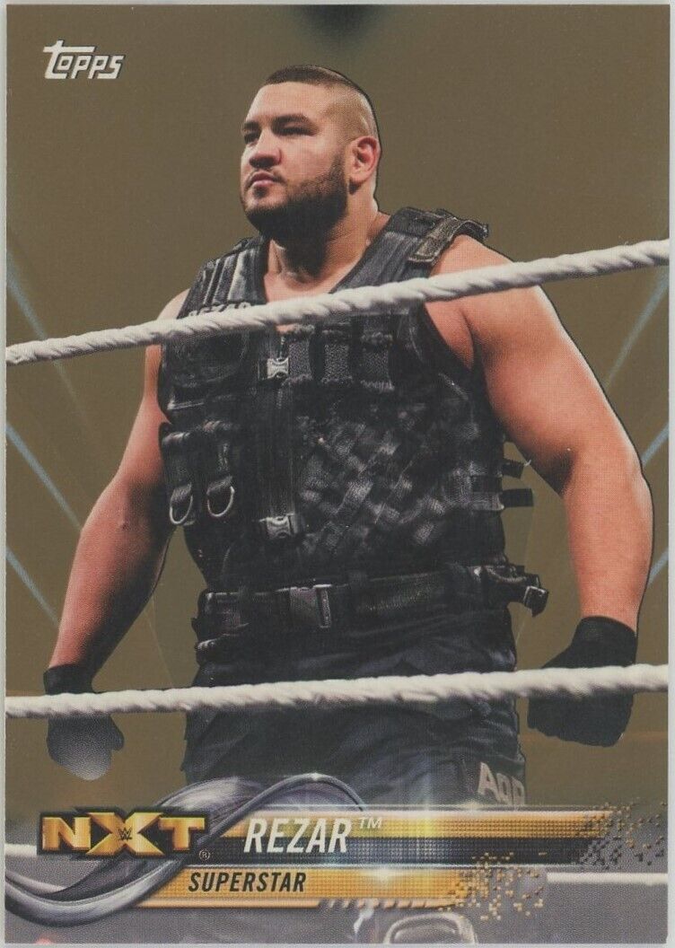 2018 Topps WWE Rezar Bronze Parallel #76