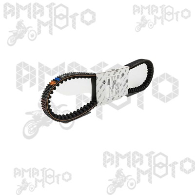 Cinghia Di Trasmissione Vicma Per Scooter Aprilia (Habana, Mojito, Scarabeo, SR50)