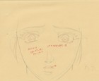 The Twelve Kingdoms Juuni Kokki Genga Douga Original Sketches Pierrot - Youko — photo 3
