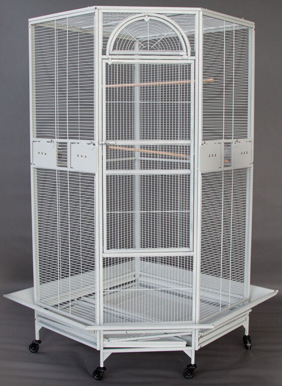 For Cockatiel Parakeet Budgies Aviary Seed Skirts *9