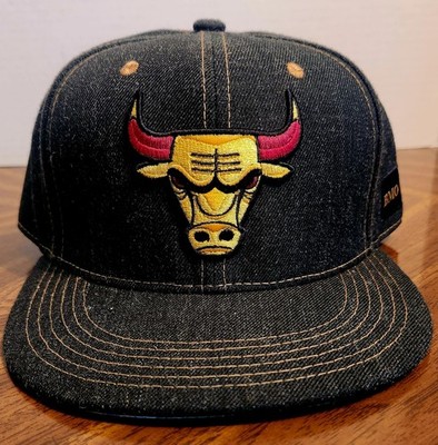 CHICAGO BULLS BMO Snapback Hat Artist Series 2018/19  Melonwear Zissou Jordan