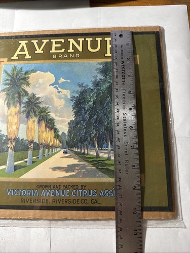 COOL BEANS: Avenue Brand Victoria Avenue Citrus Association Advertisement RS - Picture 3 of 5
