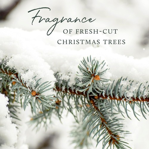 Thymes Frasier Fir Pura Smart Home Plug-in Diffuser Refill ONLY - Picture 2 of 3