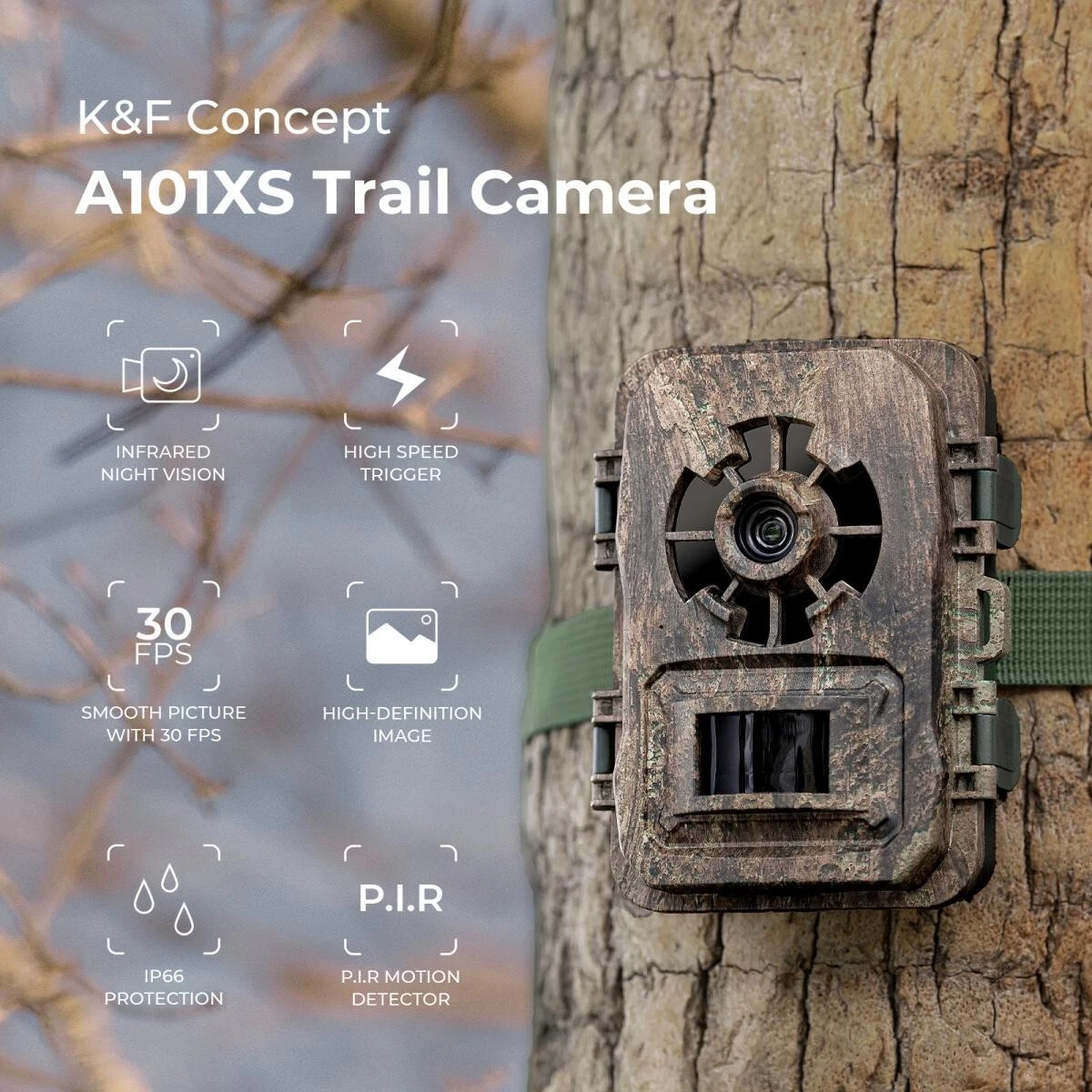 Motion activated hot sale trail camera
