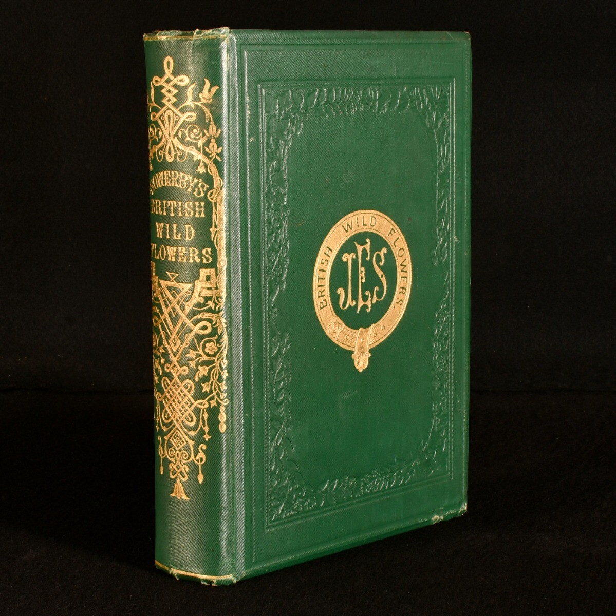 1894 British Wild Flowers John E Sowerby C Pierpoint Johnson