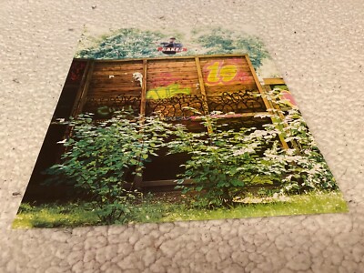 PSK21 SKATEBOARD WERBUNG/BILD 11X16'' ZEUGE : ANDREW REYNOLDS