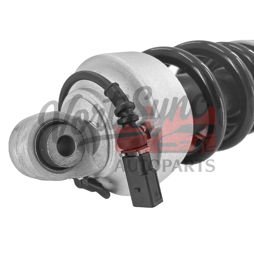 Audi R8 2017-2020 FRONT+RIGHT Shock absorber P/N 420412020Q