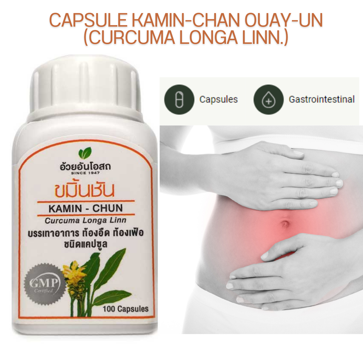 3 x Thai Herbal Turmeric Curcuma Longa Kamin-Chan Anti-Flatulent