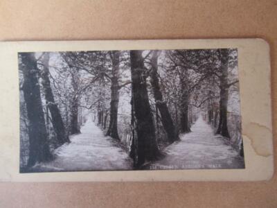 Stereoview Addisons Walk Oxford   More Photos further down listing (FILE SCL)